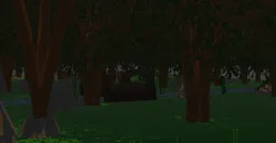 Church in the woods