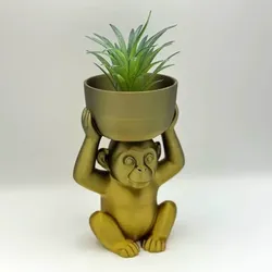 Gratis Home Decorations & Ornaments STL indir - Monkey pot with two drainage holes for water - Nick kall