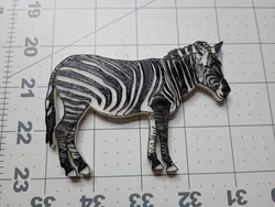 Zebra