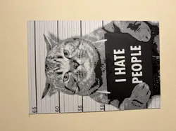 hueforge cat