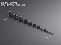 M3-M24 Cap Nut Collection DIN 1578