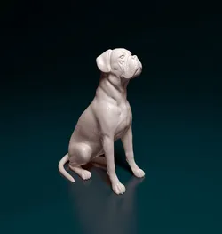 Boxer dog sitting 3D Print Model in Figurines 408084