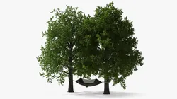 Camping Hammock with Mosquito Net Between Trees 3D model