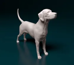 Dalmatian dog 3D Print Model in Figurines 408355
