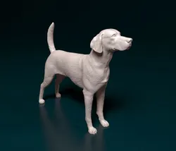 English Foxhound dog 3D Print Model in Figurines 408449