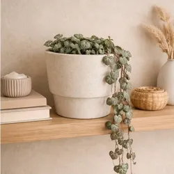 Fișiere pentru imprimante 3D | Fișier 3MF | Plant Pot in NYPON Style – Independent Design – Indoor Use