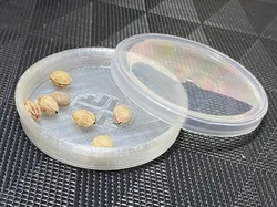 PringTri Dish