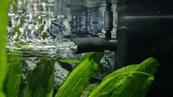 Fluval U2 45 degree water outlet