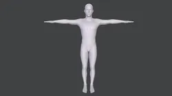 male base mesh