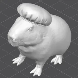 Capibara Enfermero