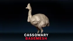 Cassowary Base Mesh
