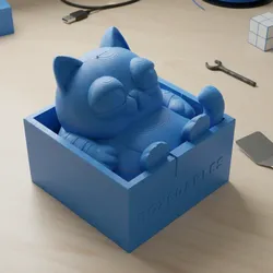 Cat in box
