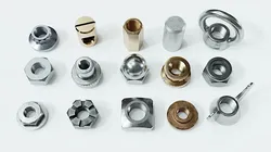 Collection of 15 nuts