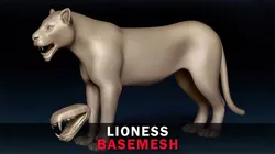 Lioness Base Mesh