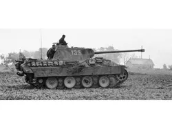 Panther Pack