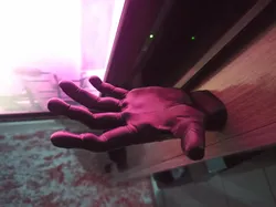Realistic Hand