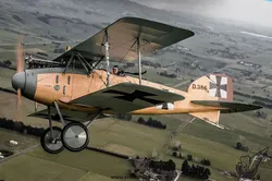 Albatros d2
