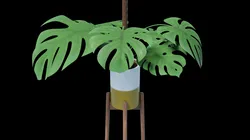 Flower in pot 01