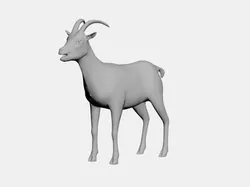 Goat