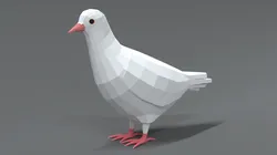 Low Poly Cartoon White Pigeon