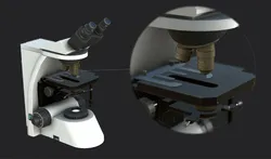 Microscopie