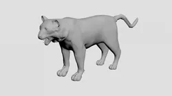 Tiger
