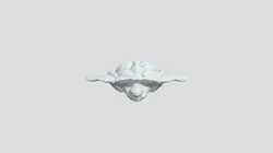 base mesh