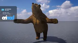 Brown Bear