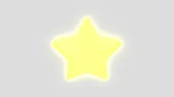 Rotating Star
