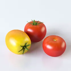 Tomatoes three 3D model