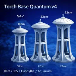 Base UFO Torch reef