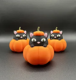 CAT IN PUMPKIN | HALLOWEEN