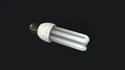 Light Bulb