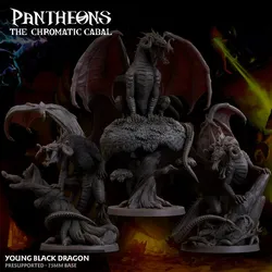 Pantheons: Young Black Dragon