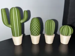 Cactus set