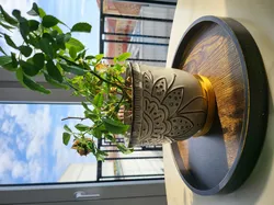 Multi-Purpose Tray for Plants and More