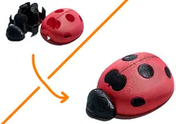 Single Extruder - Dual Color - Lady Bug