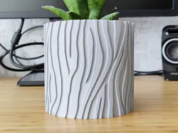 Zebra Plant Pot and Planter - Vase mode design