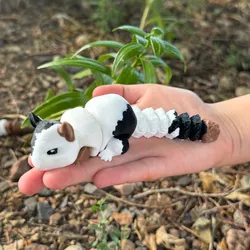Flexi Chinchilla by Teal Cat Creative