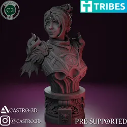 Cleric of Shar  - tabletop bust