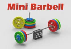 Mini Gym Barbell Weight Set - My PR