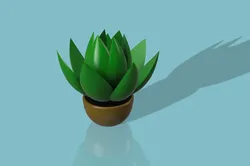cactus