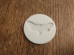 Cicada Coin