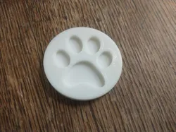 Paw Print Coin