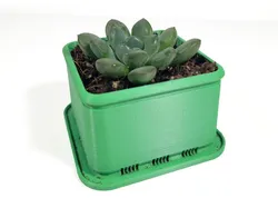 Square Succulent Planter