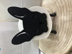 Bath dog