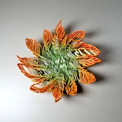 Feather Bowl