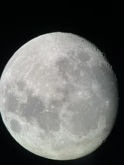 Phone holder for 1.25 " Eyepiece