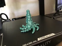 Rock on the Rock on the Rocktopus