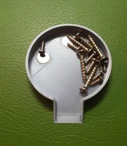 Magnetic sorting tray